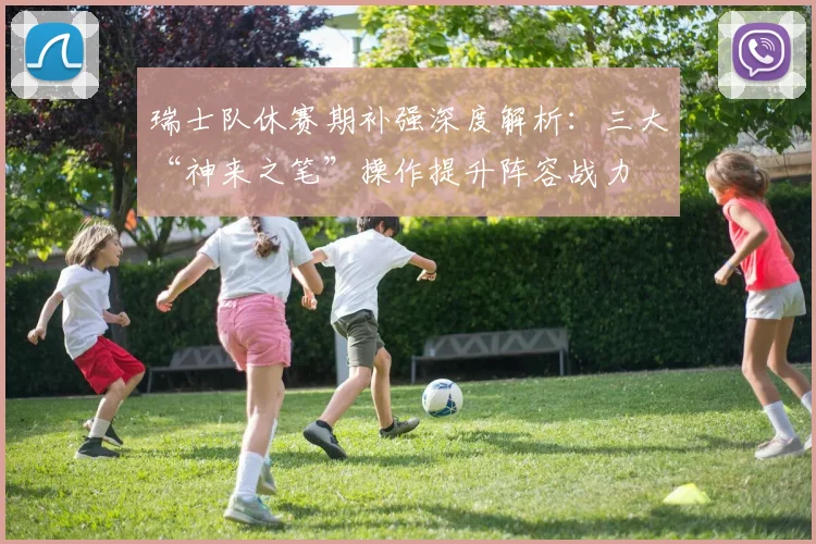 瑞士队休赛期补强深度解析：三大“神来之笔”操作提升阵容战力